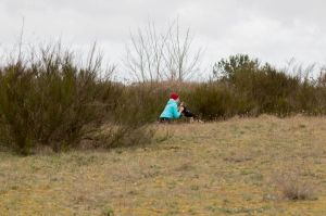 Trening tropienia użytkowego marzec 2019