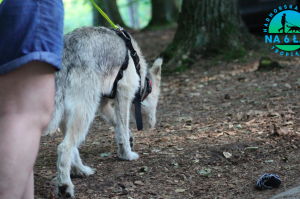 Trening tropienia lipiec 2019