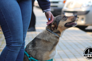 Trening tropienia użytkowego kwiecień 2019