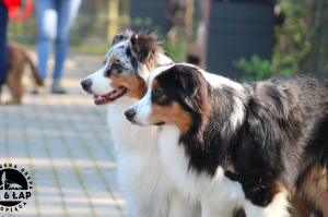 Trening tropienia użytkowego kwiecień 2019
