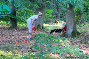 Trening tropienia lipiec 2019