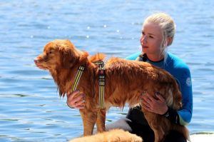 warsztaty pracy wodnej z psem