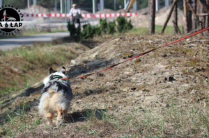 Trening tropienia użytkowego kwiecień 2019