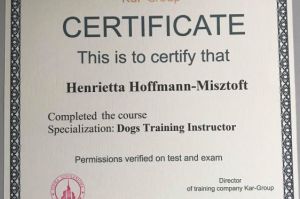 certyfikat szkolenie psów