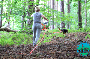 Trening tropienia lipiec 2019