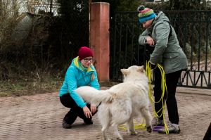 Trening tropienia użytkowego marzec 2019