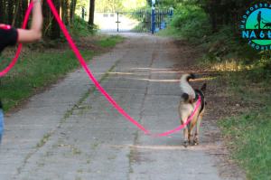 Trening tropienia lipiec 2019