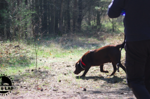 Trening tropienia użytkowego kwiecień 2019