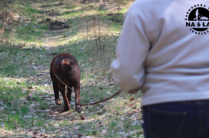 Trening tropienia użytkowego kwiecień 2019