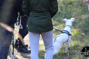 Trening tropienia użytkowego kwiecień 2019