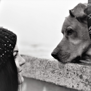 instruktor szkolenia psów