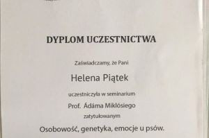 dyplom ze szkolenia