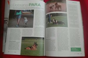 artykuł zajęcia z psem