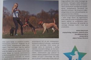 artykuły szkoleniowe