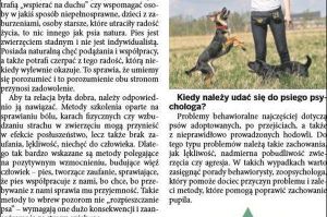 szkolenie i zajęcia z psami