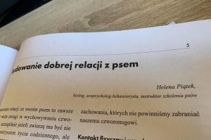 Profesjonalne szkolenia psów