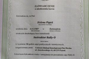 dyplom ze szkolenia