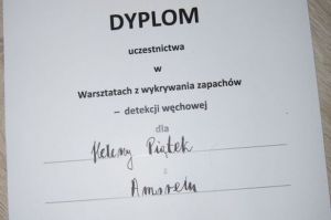 dyplom ze szkolenia