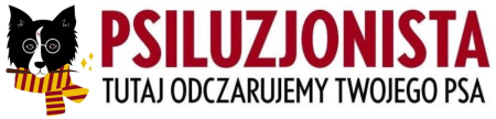 Szkoła na 6 łap dla psów i opiekunów